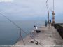 funchal fish